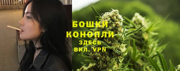 первитин Карпинск