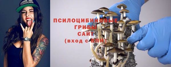 винт Касимов