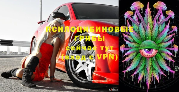 первитин Карпинск