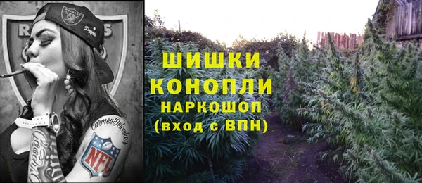 винт Касимов