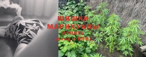 первитин Карпинск