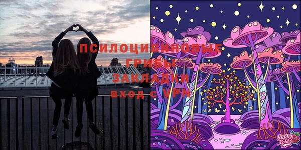 винт Касимов