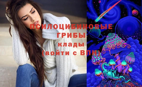 винт Касимов